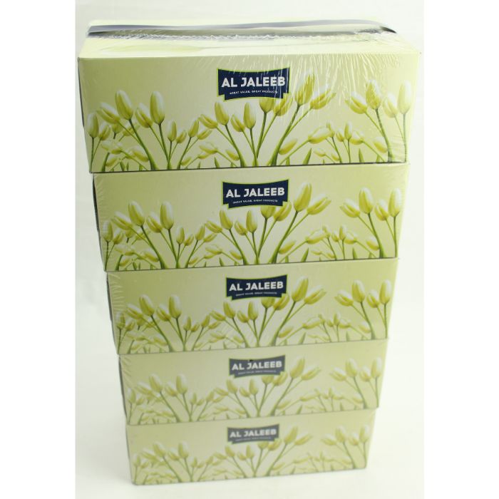 Al Jaleeb Tissue 6x5x100 Sheets
