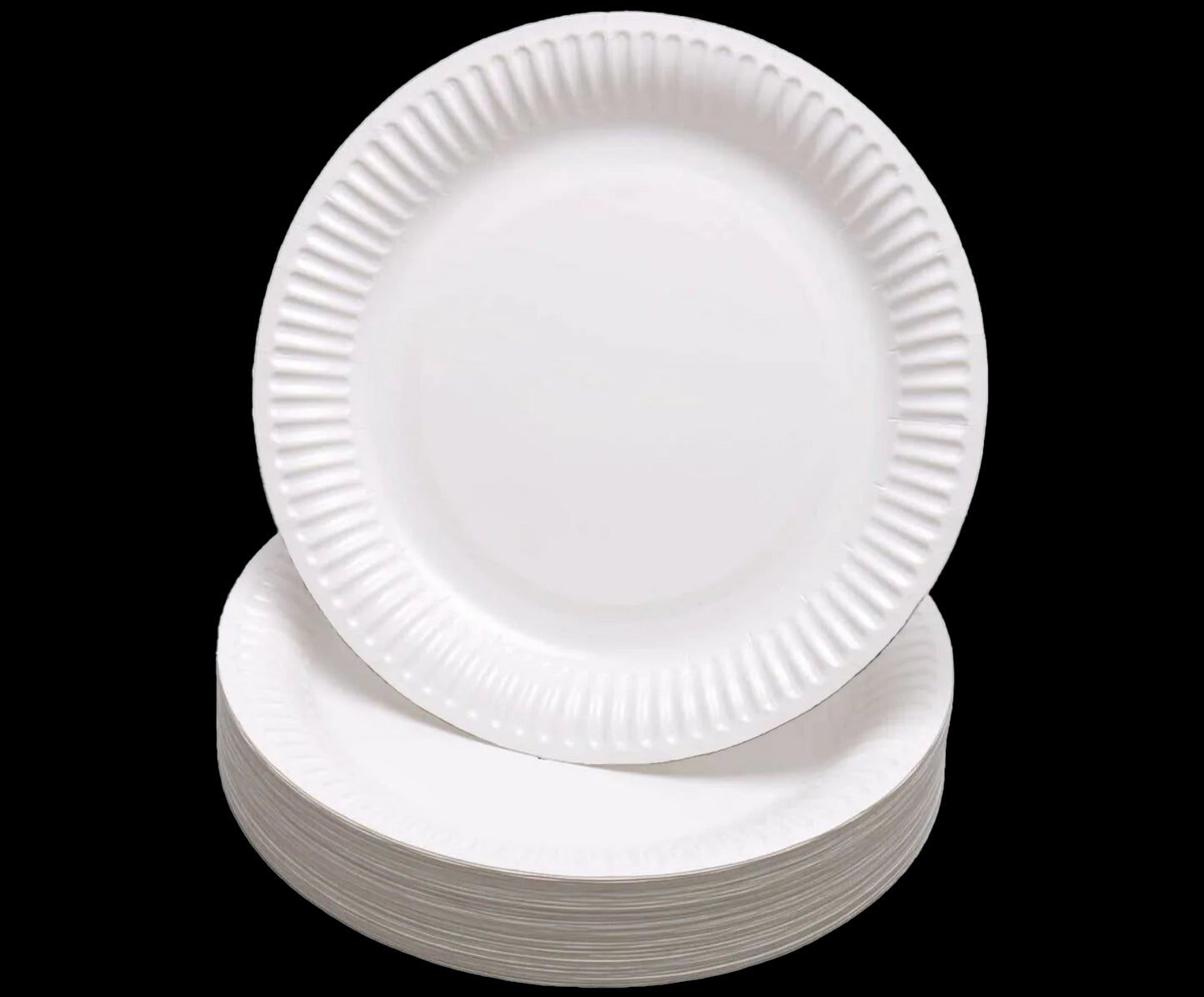 Paper Plate No.2 9 Inch 12x100pcs