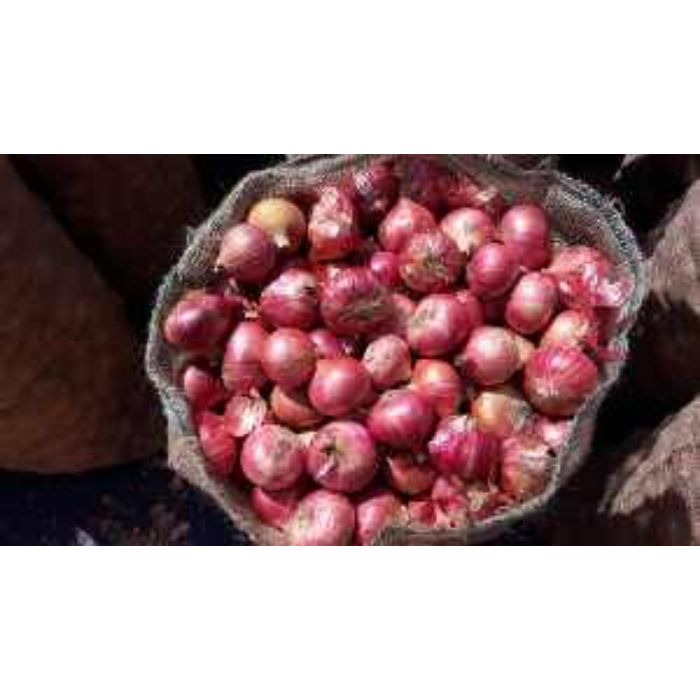 Onion India Jute Bag (B)