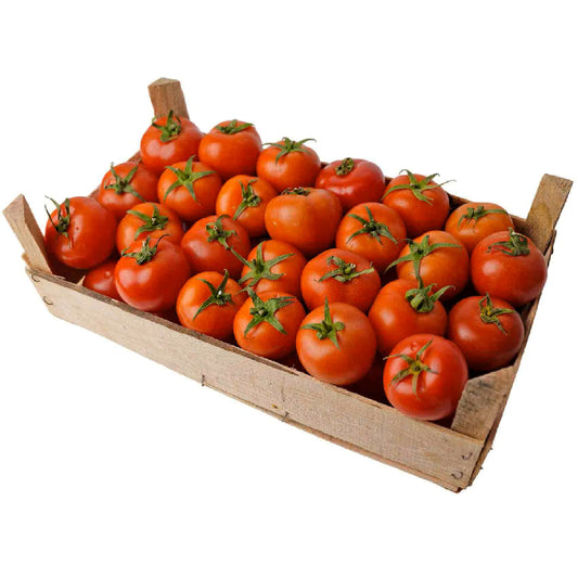 Tomato Jordan-A
