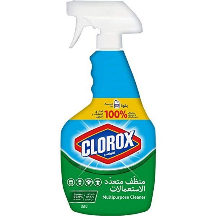 Clorox Multipurpose Cleaner 12x750ml