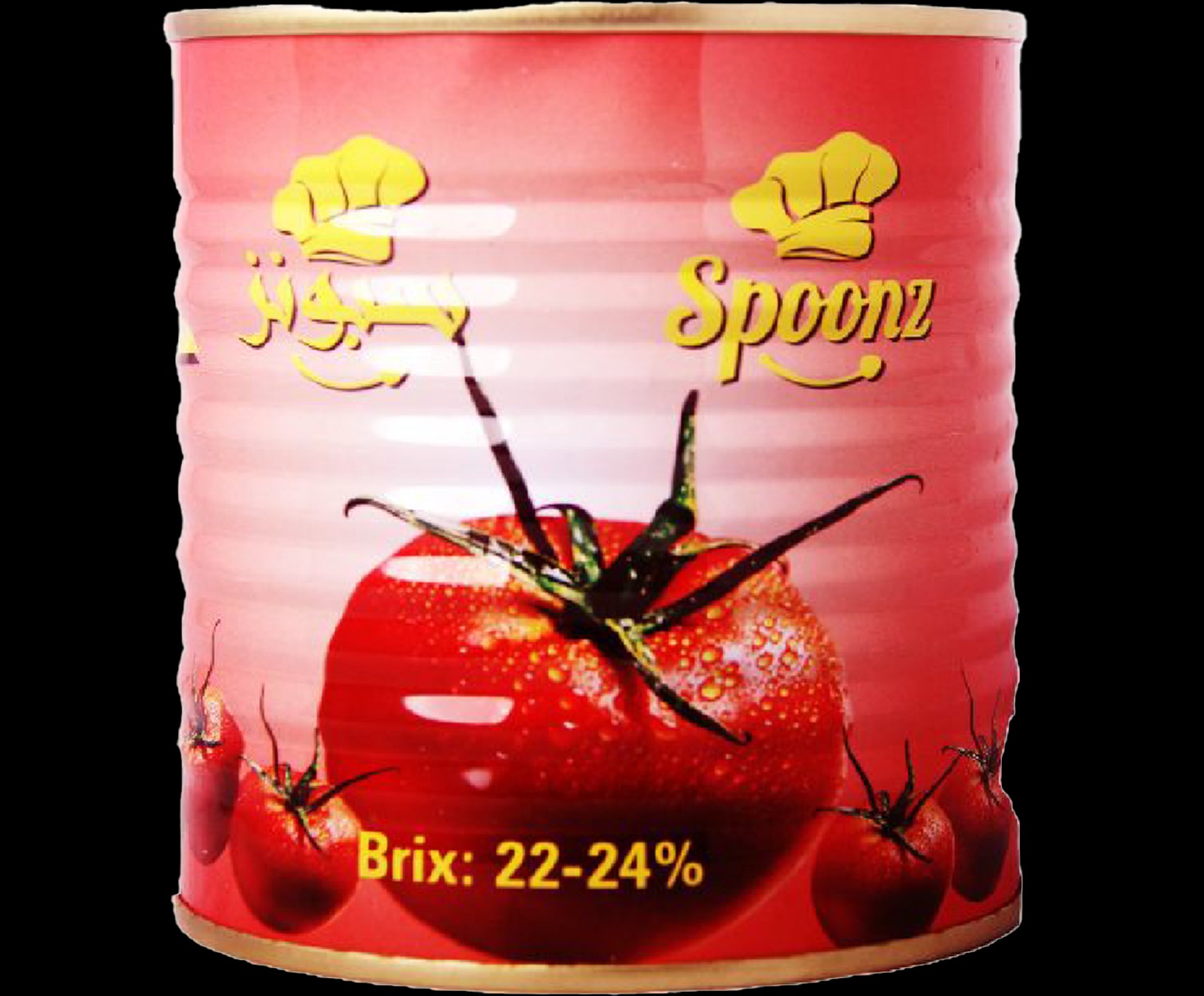 Spoonz Tomato Paste (B) 12x800gm