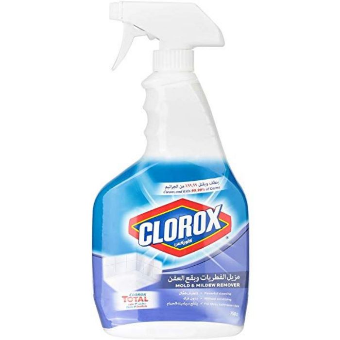 Clorox Mold & Mildew Remover 12x750ml