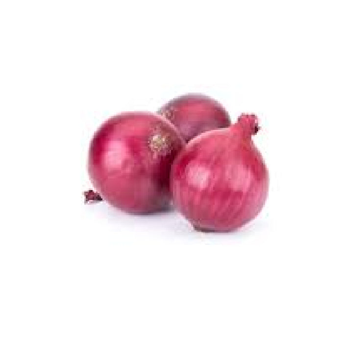 Onion India XXL CAR