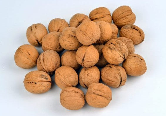 SQ Uncle J's Walnut With Shell kg