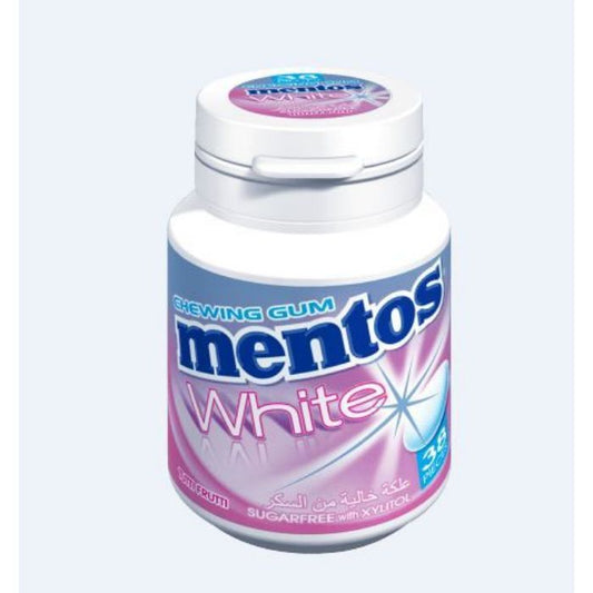 Mentos Gum Tutti-Fruti Flav. Bot. 6x54gm