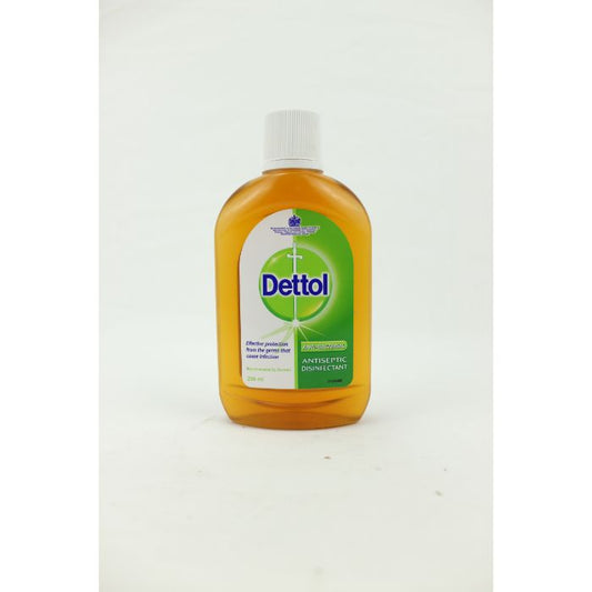 Dettol Antiseptic Liquid Green 24x250ml