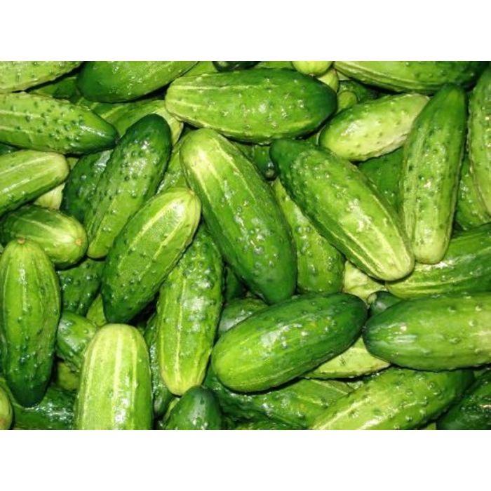 Cucumber (Kiyar) Local-A
