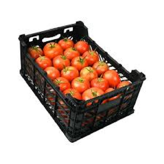 Tomato Bunch Egypt