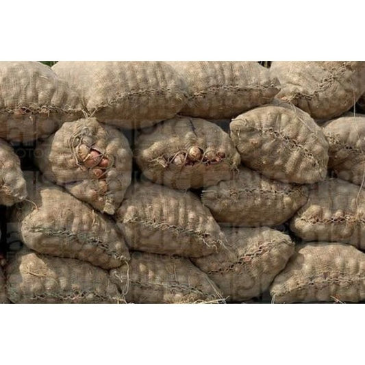 Onion India Jute Bag  (M)