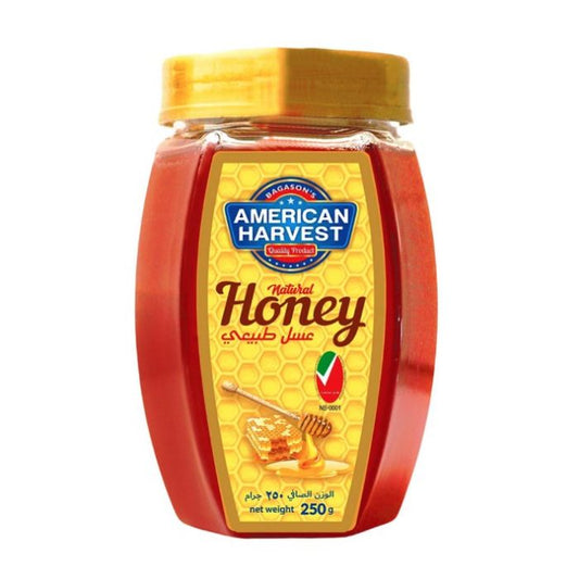 American Harvest Honey Jar 24x250g