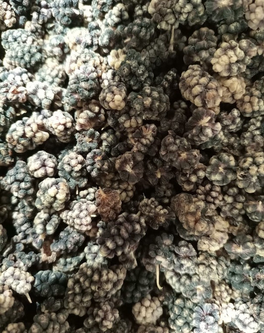 SQ Dried Mulberry kg