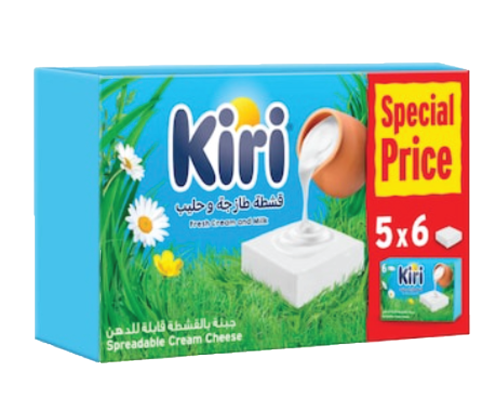Kiri Cheese (6 Portion) 12(5x100gm)